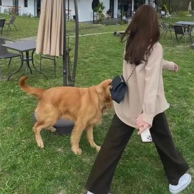 多彩人生